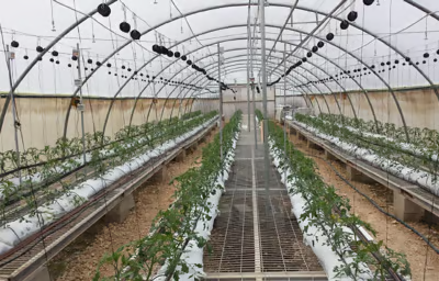 Agriculture
